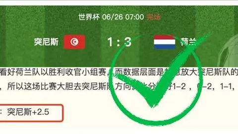 14胜10佳绩背后篮球赛事：火热状态持续追踪指南